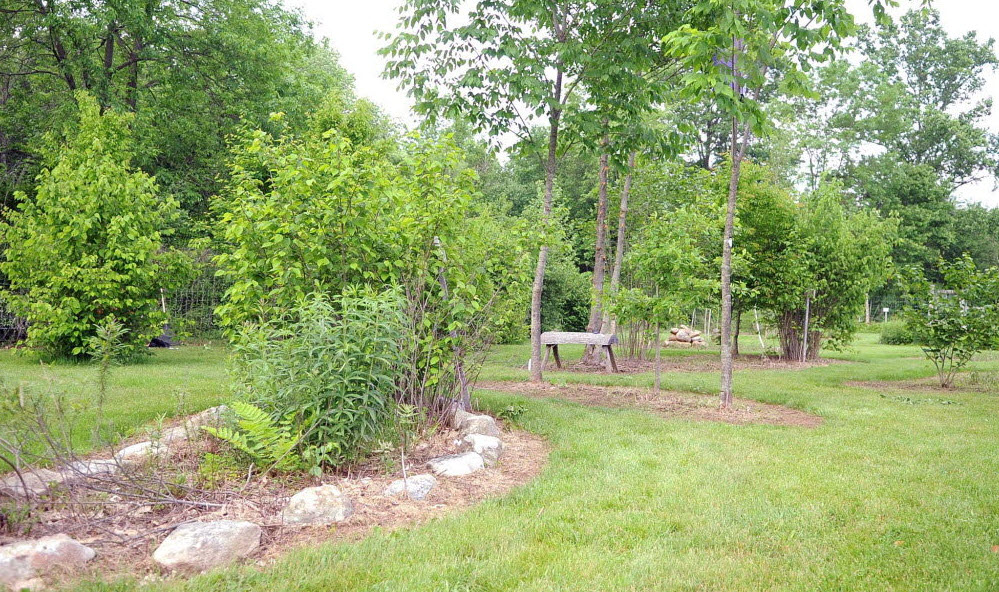 Pohatcong Native Arboretum, United States